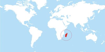 Карта размяшчэння Мадагаскар на свет